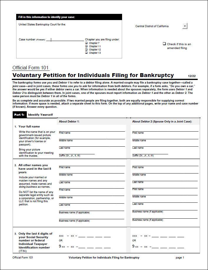 US Courts Official Form 101 Voluntary Petition for Individuals Filing for Bankruptcy